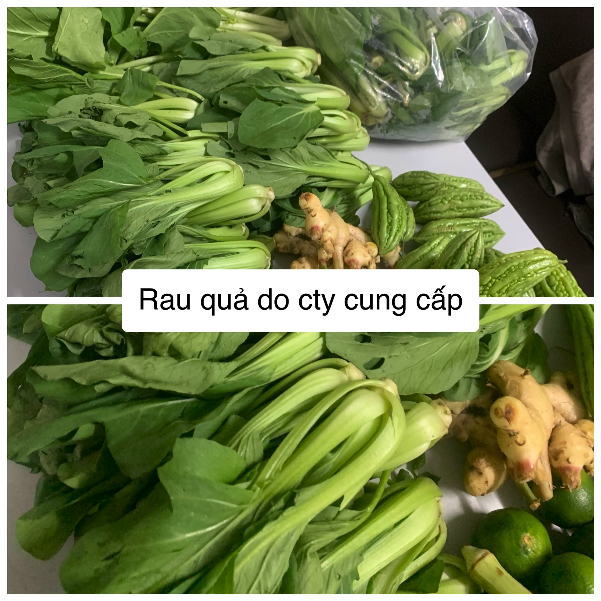 bql-my-house-tuc-truc-tai-chung-cu