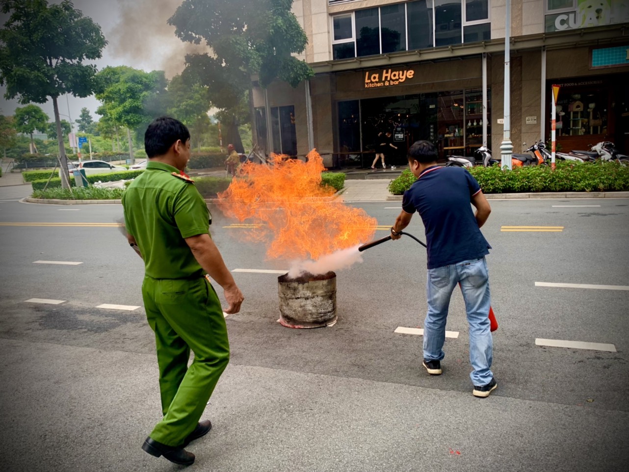 A picture containing outdoor, tree, bus, streetDescription automatically generated