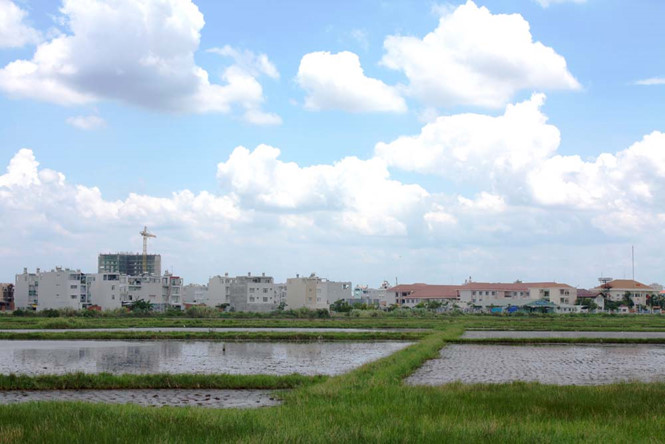 Đổi mới quy định về tách thửa đất tại TP.HCM