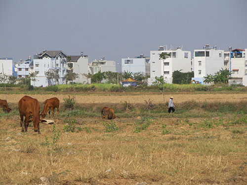 Quy định giảm tiền đất vượt hạn mức