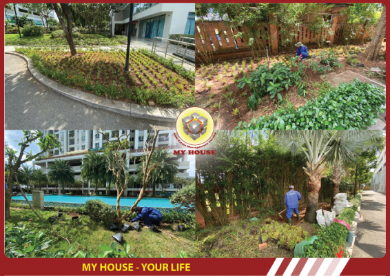 LUXGARDEN NĂNG NỔ CẢI TẠO MẢNG XANH