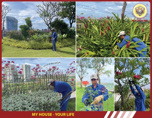 MY HOUSE KIẾN TẠO KHÔNG GIAN SỐNG XANH GIỮA LÒNG ĐÔ THỊ