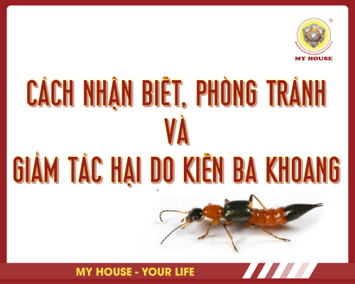 CÁCH NHẬN BIẾT, PHÒNG TRÁNH VÀ GIẢM TÁC HẠI DO KIẾN BA KHOANG