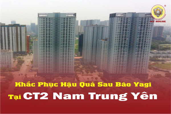 CT2 A10 Nam Trung Yên: Hành Trình Khôi Phục Sau Cơn Bão Yagi